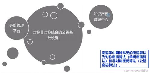 物聯網安全架構、基礎設施與安全軟件開發 構建可信的互聯世界